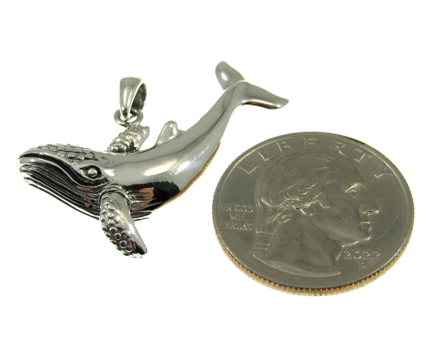 The sterling silver humpback whale pendant is roughly the size of a US quarter, measuring 1 inch tall by 1 1/2 inches wide.