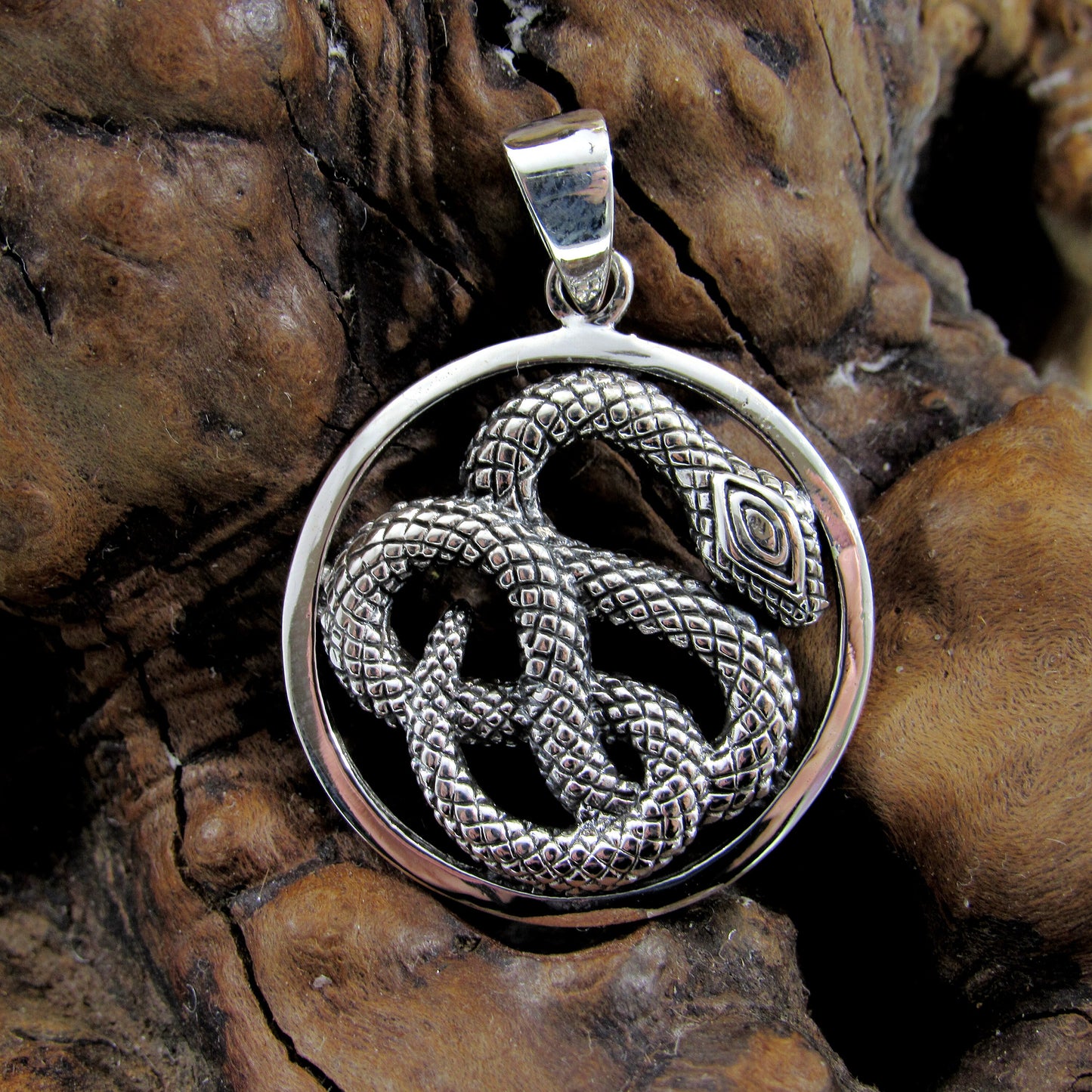 Solid 925 Sterling Silver Coiled Snake Pendant, Handcrafted Reptile Necklace Charm, Unisex Serpent Jewelry, Gift for Herp Gang
