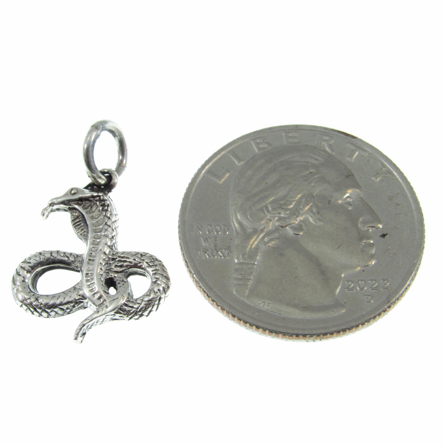Solid 925 Sterling Silver Cobra Snake Pendant, Snake Charming Dancing Cobra, Gothic Reptile Jewelry, Serpent Necklace Charm