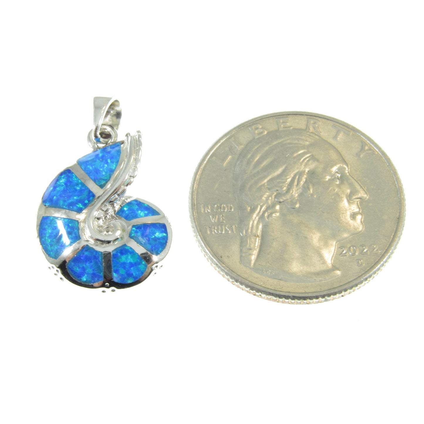 Solid 925 Sterling Silver and Blue Opal Shell Pendant, Nautilus Seashell Jewelry, Ammonite Fossil Charm, Sea Sand Ocean and Marine Interest