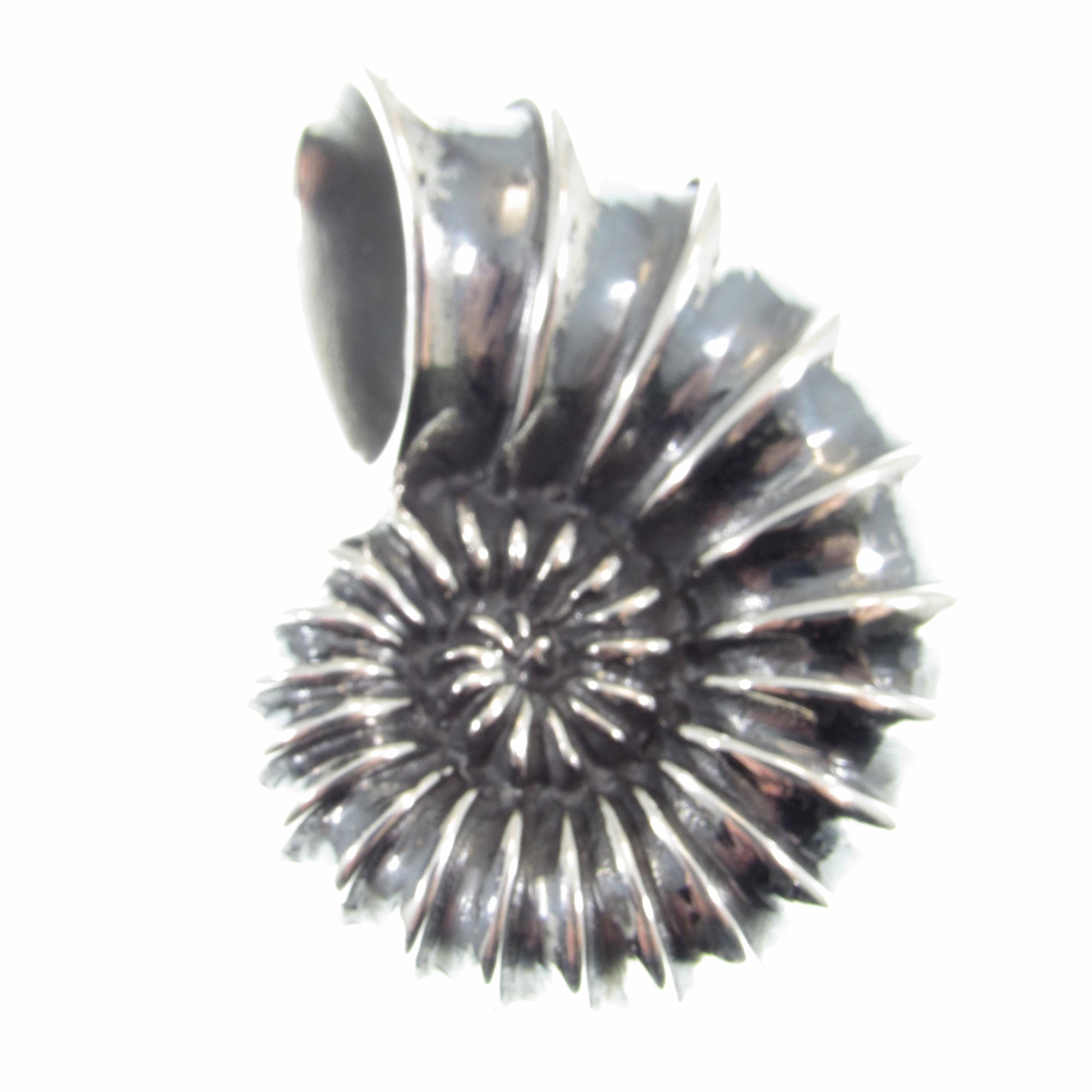 Solid 925 Sterling Silver Ammonite Fossil Pendant, Handcrafted Shaligram Shell, Spiral Slide Charm, Nature Jewelry, Gift for Men and Women