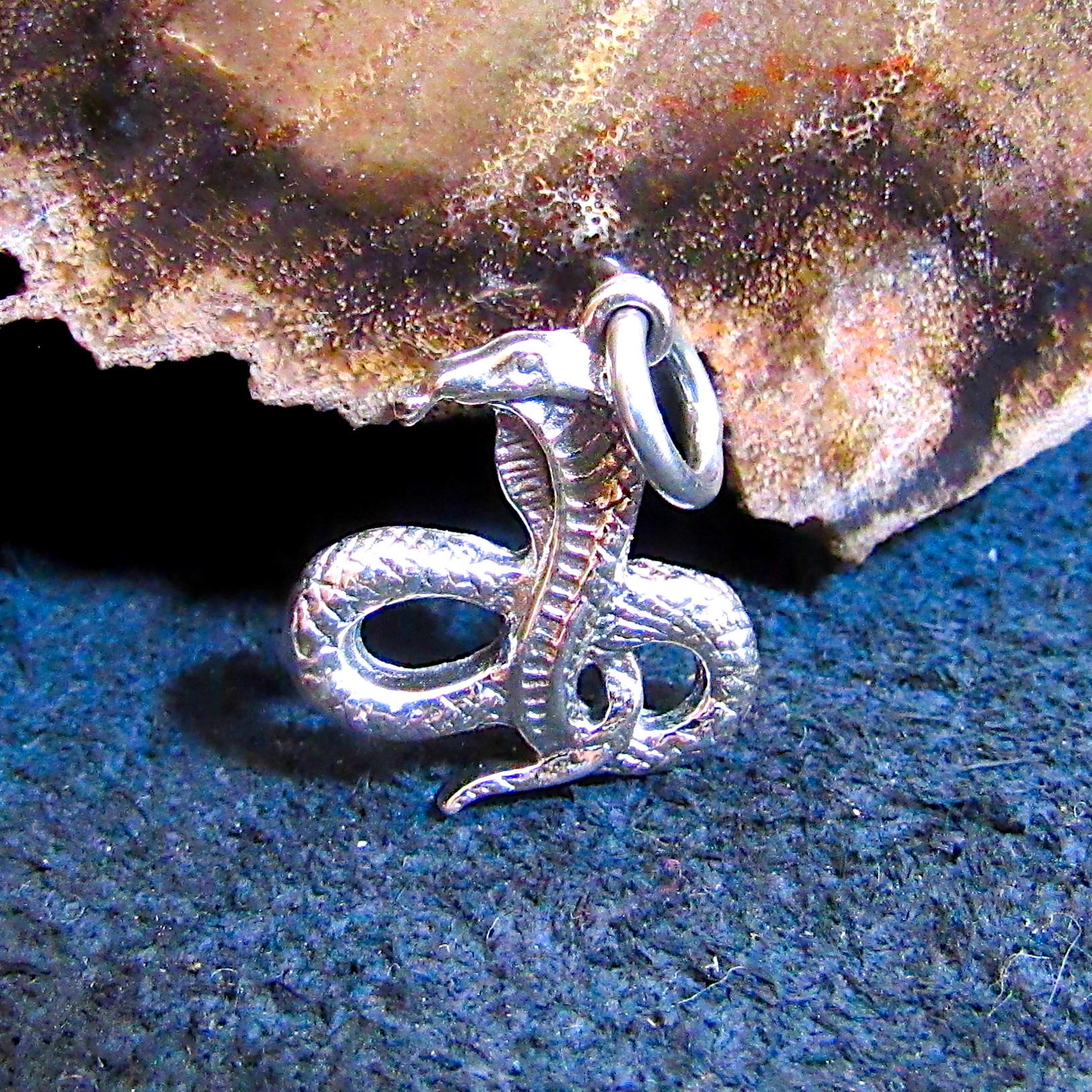 Solid 925 Sterling Silver Cobra Snake Pendant, Snake Charming Dancing Cobra, Gothic Reptile Jewelry, Serpent Necklace Charm