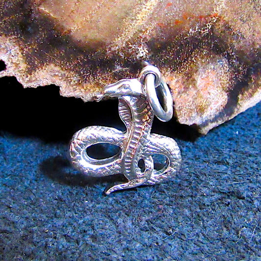 Solid 925 Sterling Silver Cobra Snake Pendant, Snake Charming Dancing Cobra, Gothic Reptile Jewelry, Serpent Necklace Charm