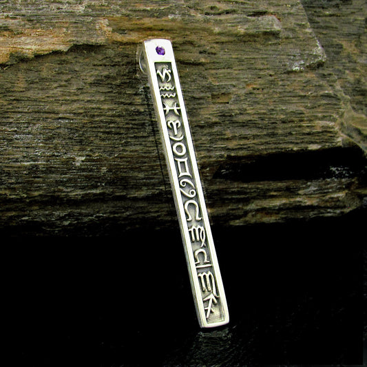 Solid 925 Sterling Silver 12 Zodiac Symbols Pendant – Astrology Horoscope Column Amethyst or Garnet